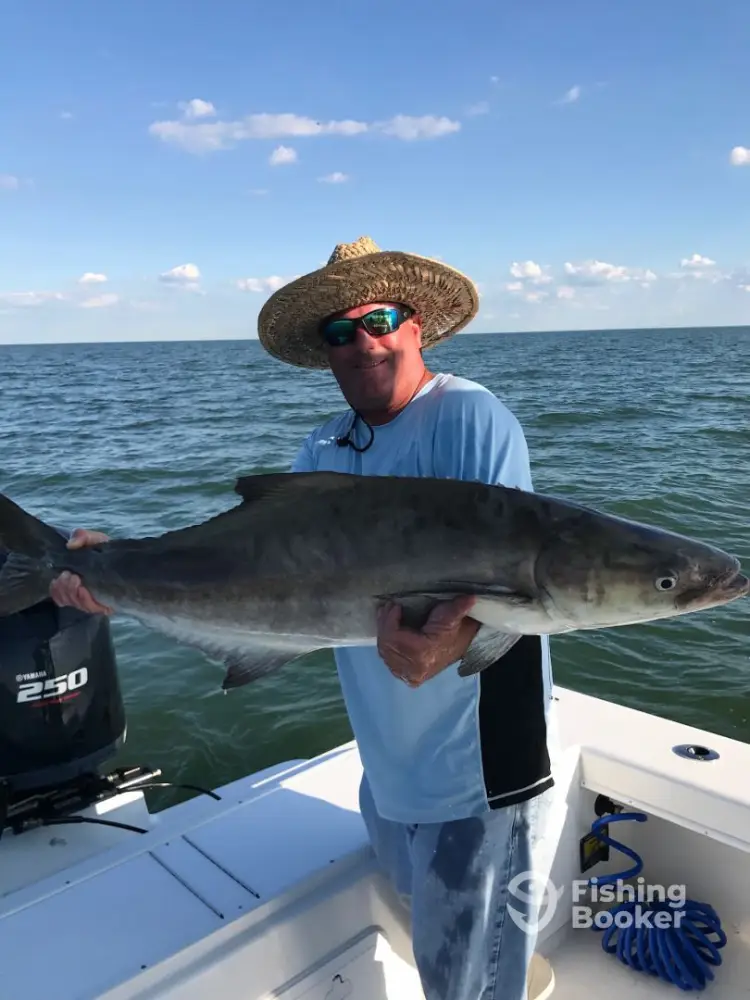 Full day Chesapeake Bay charter heading out at sunrise. Starts at 8:00 AM.